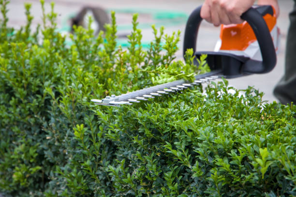 Hedge Trimmers