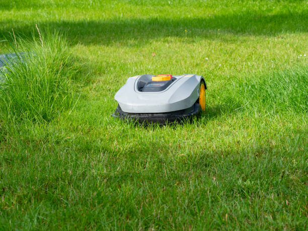 Autonomous Lawnmowers